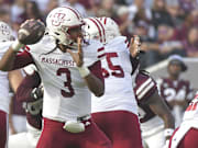 羽毛球的无 羽毛球的无